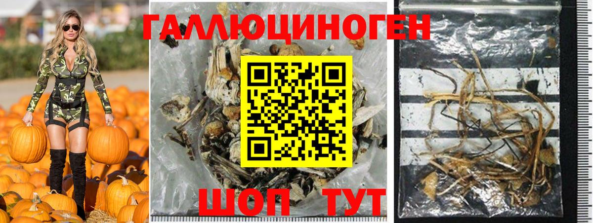 Острогожск  Галлюциногенные грибы Psilocybine cubensis  Вход с VPN 